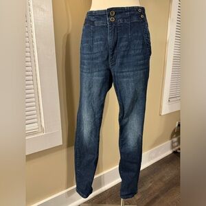 Anthropologie Pilcro and the Letterpress Sz 30 High Rise Skinny Jean Dark Denim